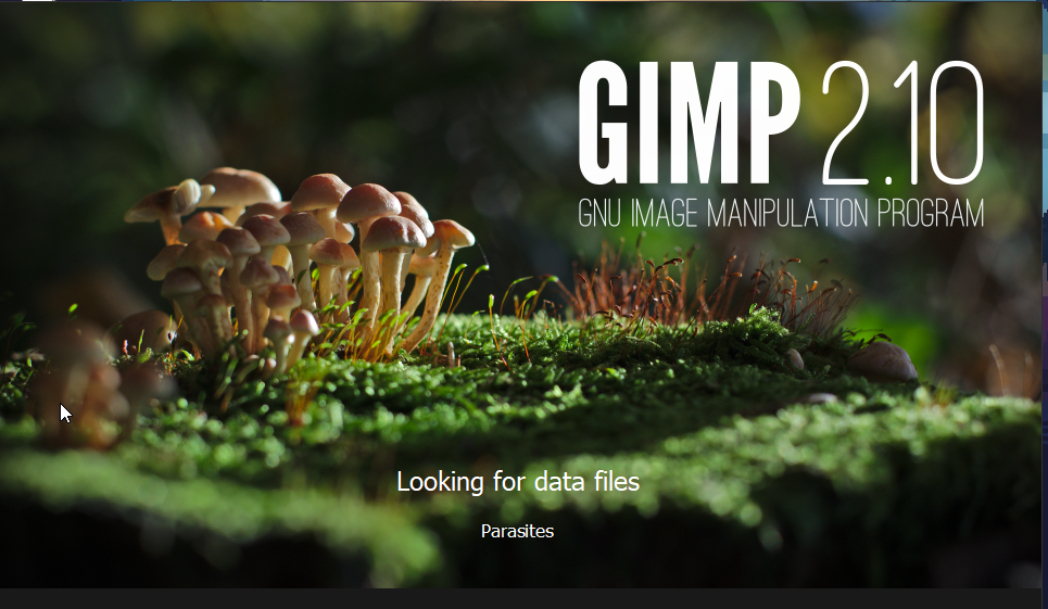 GIMP Interface